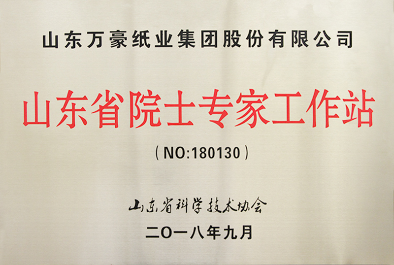 山東省院士專家工作站